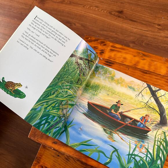 The Web At Dragonfly Pond Paperback Book - Picture 3 of 7